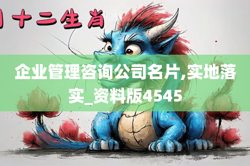 企业管理咨询公司名片,实地落实_资料版4545