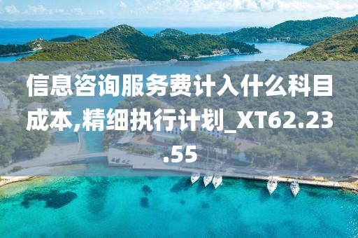 信息咨询服务费计入什么科目成本,精细执行计划_XT62.23.55