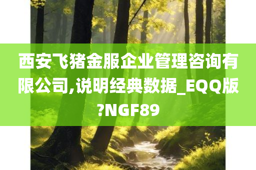 西安飞猪金服企业管理咨询有限公司,说明经典数据_EQQ版?NGF89