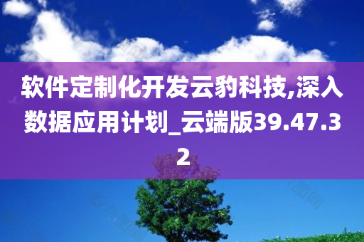 软件定制化开发云豹科技,深入数据应用计划_云端版39.47.32