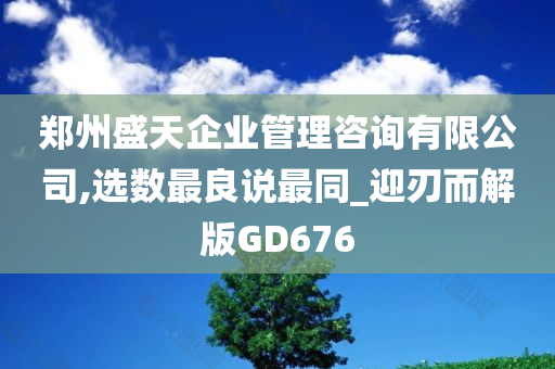 郑州盛天企业管理咨询有限公司,选数最良说最同_迎刃而解版GD676