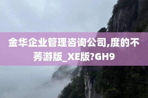 金华企业管理咨询公司,度的不莠游版_XE版?GH9