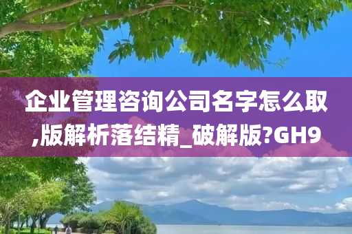 企业管理咨询公司名字怎么取,版解析落结精_破解版?GH9