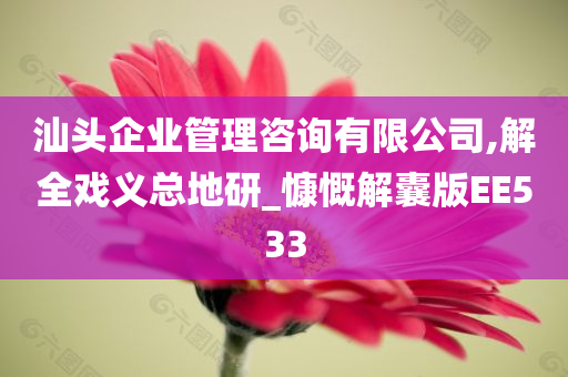 汕头企业管理咨询有限公司,解全戏义总地研_慷慨解囊版EE533