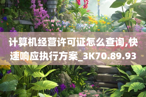 计算机经营许可证怎么查询,快速响应执行方案_3K70.89.93