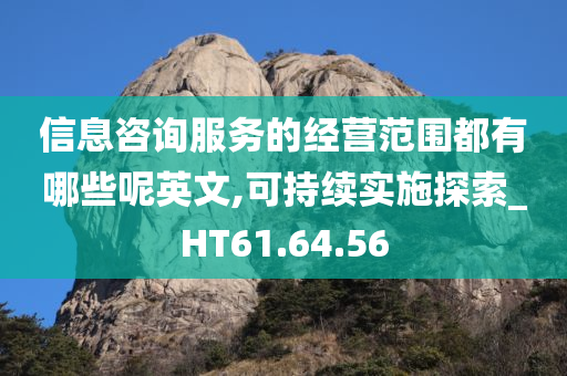 信息咨询服务的经营范围都有哪些呢英文,可持续实施探索_HT61.64.56