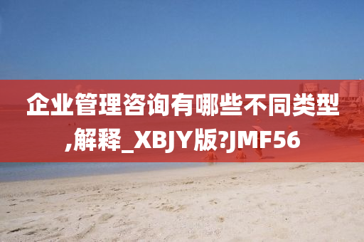 企业管理咨询有哪些不同类型,解释_XBJY版?JMF56