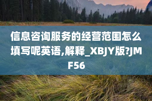 信息咨询服务的经营范围怎么填写呢英语,解释_XBJY版?JMF56