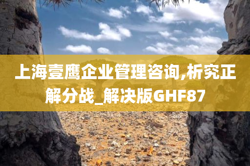 上海壹鹰企业管理咨询,析究正解分战_解决版GHF87