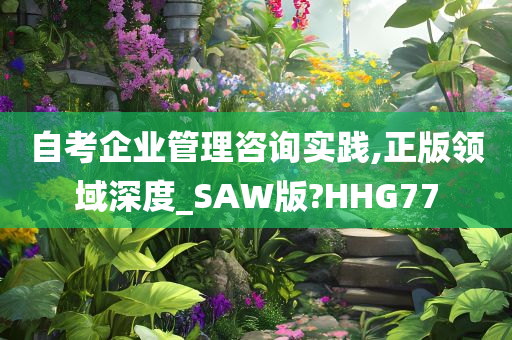 自考企业管理咨询实践,正版领域深度_SAW版?HHG77