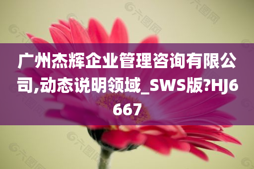 广州杰辉企业管理咨询有限公司,动态说明领域_SWS版?HJ6667