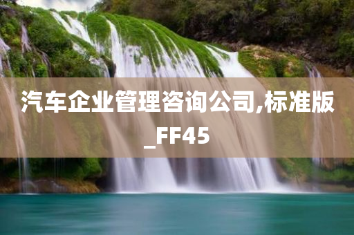 汽车企业管理咨询公司,标准版_FF45