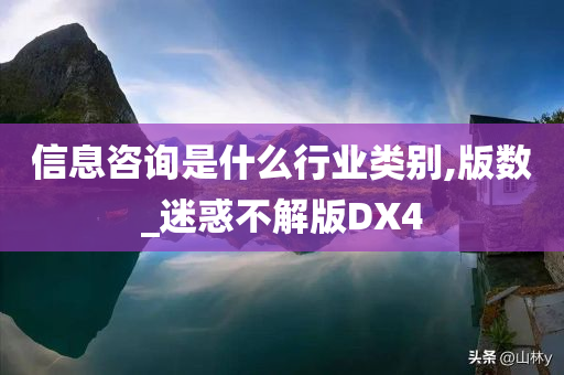 信息咨询是什么行业类别,版数_迷惑不解版DX4