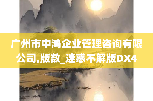 广州市中鸿企业管理咨询有限公司,版数_迷惑不解版DX4