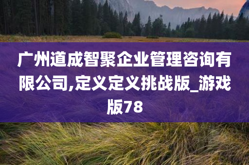 广州道成智聚企业管理咨询有限公司,定义定义挑战版_游戏版78