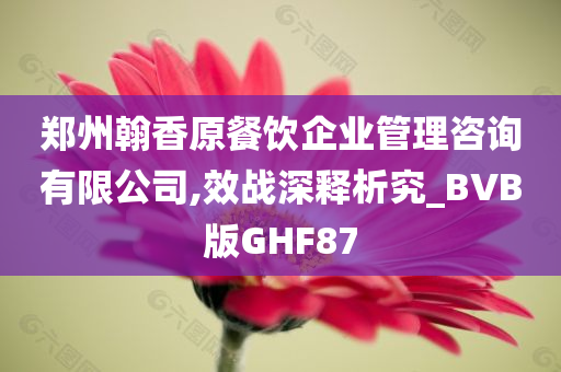 郑州翰香原餐饮企业管理咨询有限公司,效战深释析究_BVB版GHF87