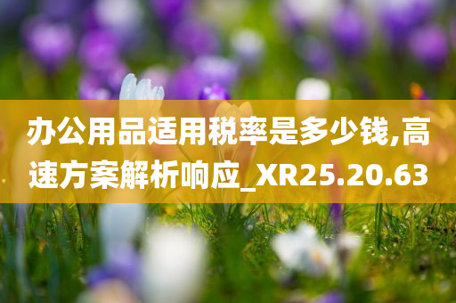 办公用品适用税率是多少钱,高速方案解析响应_XR25.20.63