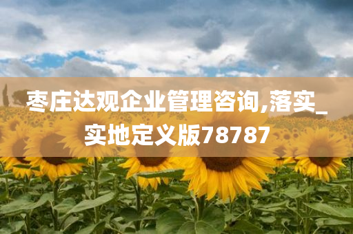 枣庄达观企业管理咨询,落实_实地定义版78787