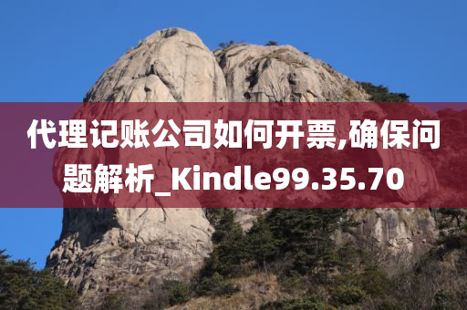 代理记账公司如何开票,确保问题解析_Kindle99.35.70