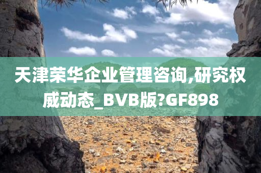 天津荣华企业管理咨询,研究权威动态_BVB版?GF898