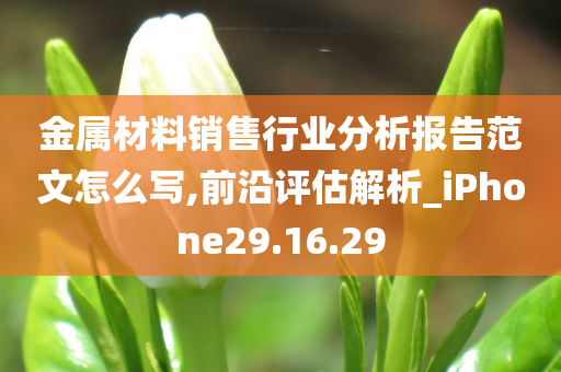 金属材料销售行业分析报告范文怎么写,前沿评估解析_iPhone29.16.29