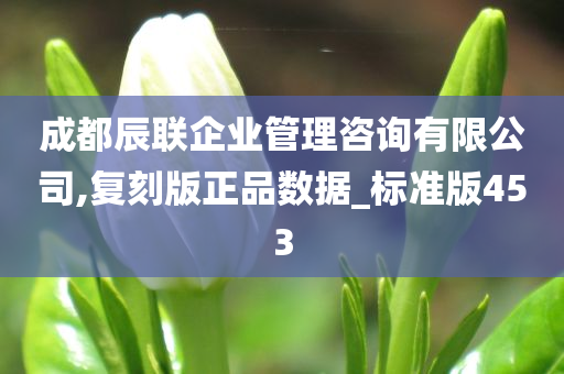 成都辰联企业管理咨询有限公司,复刻版正品数据_标准版453