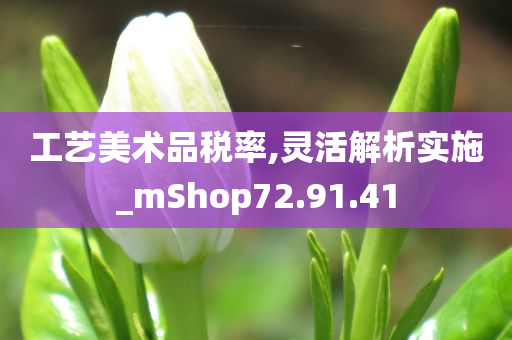 工艺美术品税率,灵活解析实施_mShop72.91.41