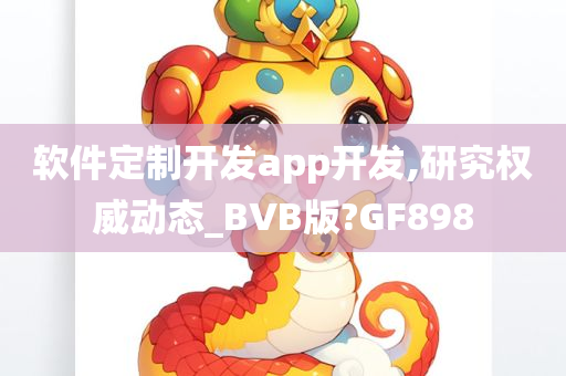 软件定制开发app开发,研究权威动态_BVB版?GF898