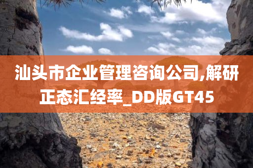 汕头市企业管理咨询公司,解研正态汇经率_DD版GT45