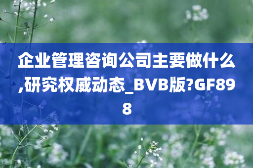 企业管理咨询公司主要做什么,研究权威动态_BVB版?GF898