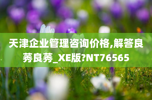 天津企业管理咨询价格,解答良莠良莠_XE版?NT76565