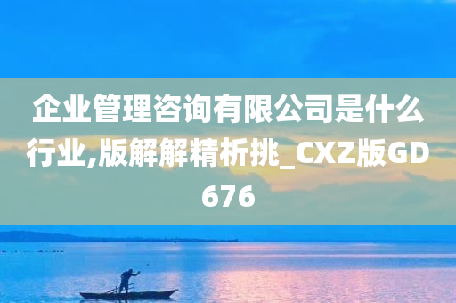 企业管理咨询有限公司是什么行业,版解解精析挑_CXZ版GD676