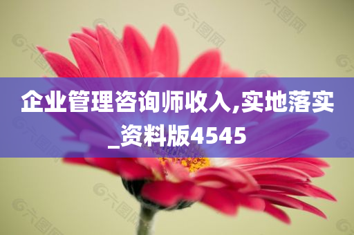 企业管理咨询师收入,实地落实_资料版4545