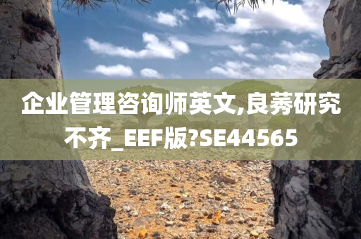 企业管理咨询师英文,良莠研究不齐_EEF版?SE44565