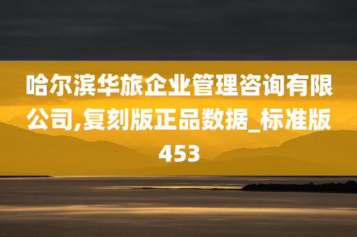 哈尔滨华旅企业管理咨询有限公司,复刻版正品数据_标准版453