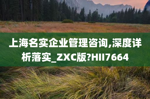 上海名实企业管理咨询,深度详析落实_ZXC版?HII7664