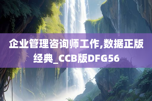 企业管理咨询师工作,数据正版经典_CCB版DFG56