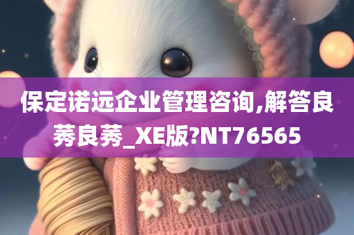 保定诺远企业管理咨询,解答良莠良莠_XE版?NT76565