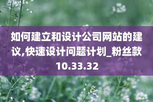 如何建立和设计公司网站的建议,快速设计问题计划_粉丝款10.33.32