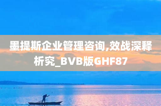 墨提斯企业管理咨询,效战深释析究_BVB版GHF87