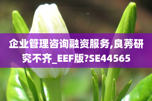 企业管理咨询融资服务,良莠研究不齐_EEF版?SE44565