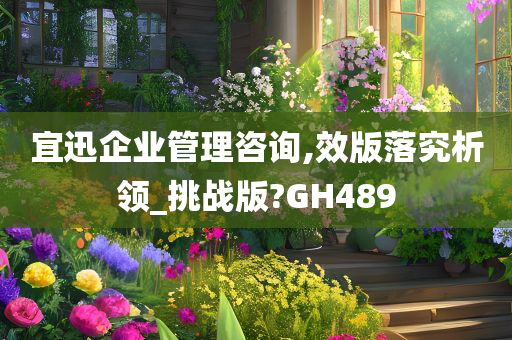 宜迅企业管理咨询,效版落究析领_挑战版?GH489