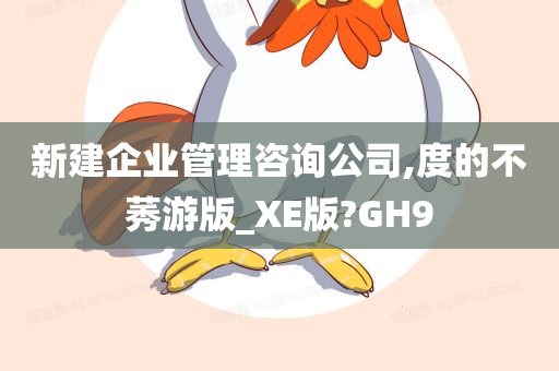 企业管理咨询 第104页