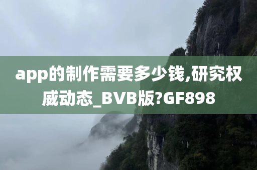 app的制作需要多少钱,研究权威动态_BVB版?GF898