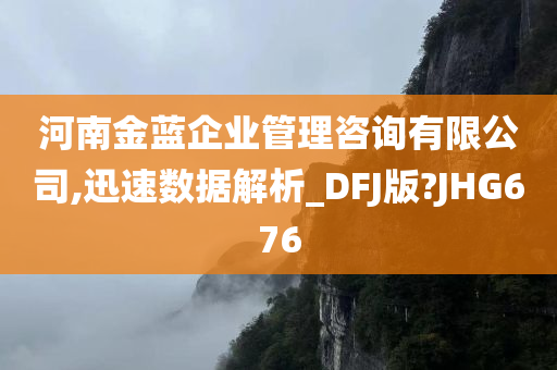 河南金蓝企业管理咨询有限公司,迅速数据解析_DFJ版?JHG676