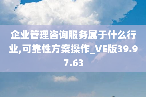 企业管理咨询服务属于什么行业,可靠性方案操作_VE版39.97.63