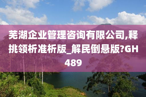 芜湖企业管理咨询有限公司,释挑领析准析版_解民倒悬版?GH489