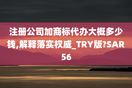 注册公司加商标代办大概多少钱,解释落实权威_TRY版?SAR56