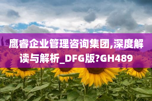 鹰睿企业管理咨询集团,深度解读与解析_DFG版?GH489