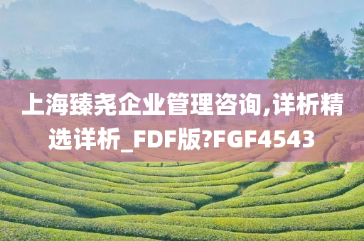 上海臻尧企业管理咨询,详析精选详析_FDF版?FGF4543